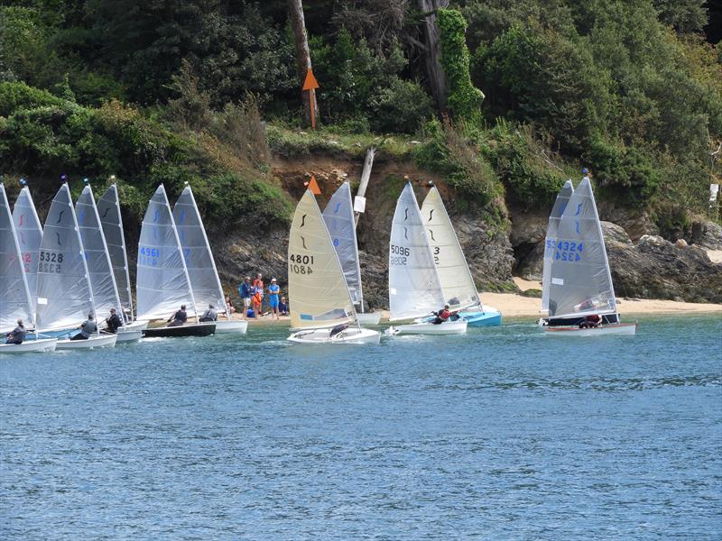 Salcombe Gin Salcombe Yacht Club Annual Regatta  photo copyright Margaret Mackley taken at Salcombe Yacht Club and featuring the Solo class