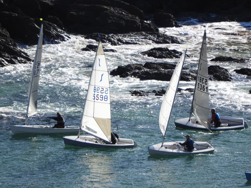Salcombe Autumn Solo Open photo copyright Margaret Mackley taken at Salcombe Yacht Club and featuring the Solo class