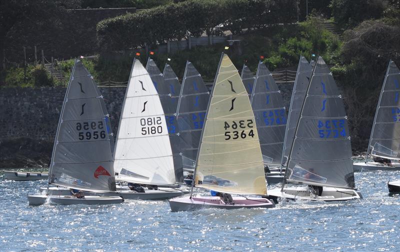Whitsun Solo Open at Salcombe photo copyright Margaret Mackley taken at Salcombe Yacht Club and featuring the Solo class