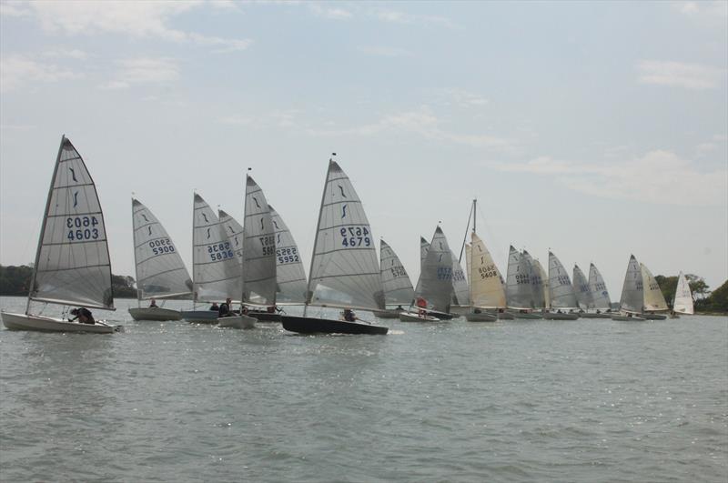 Dell Quay Solo Open photo copyright Mike Dicker taken at Dell Quay Sailing Club and featuring the Solo class