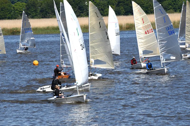 HD Sails Scottish Solo Travellers at Newburgh photo copyright Tony Green taken at Newburgh Sailing Club and featuring the Solo class