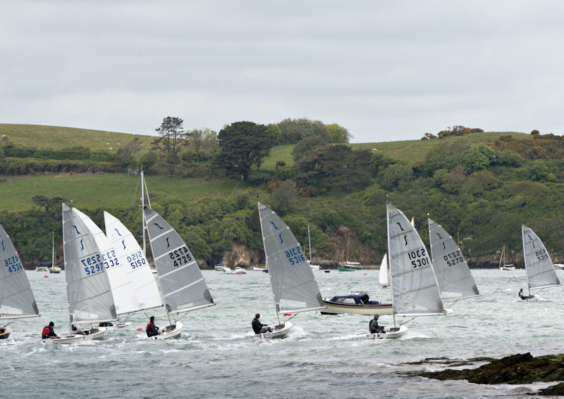Whitsun Bank Holiday Weekend at Salcombe photo copyright Michael Knowles taken at Salcombe Yacht Club and featuring the Solo class