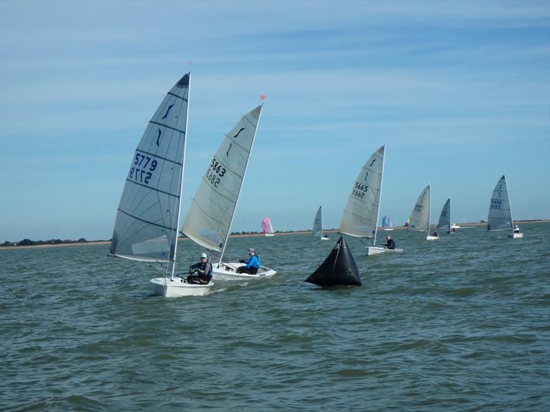 Solo Eastern Area Championships at Brightlingsea - photo © Shaun Seer