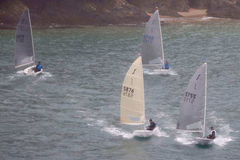 Salcombe Yacht Club Winter Series Race 5 photo copyright Lucy Burn taken at Salcombe Yacht Club and featuring the Solo class