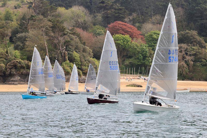 Early May Bank Holiday Open Weekend at Salcombe photo copyright Lucy Burn taken at Salcombe Yacht Club and featuring the Solo class