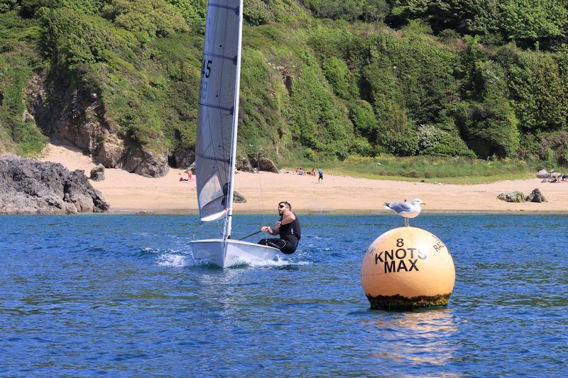 Salcombe YC Sailing Club Series race 5 - photo © Lucy Burn