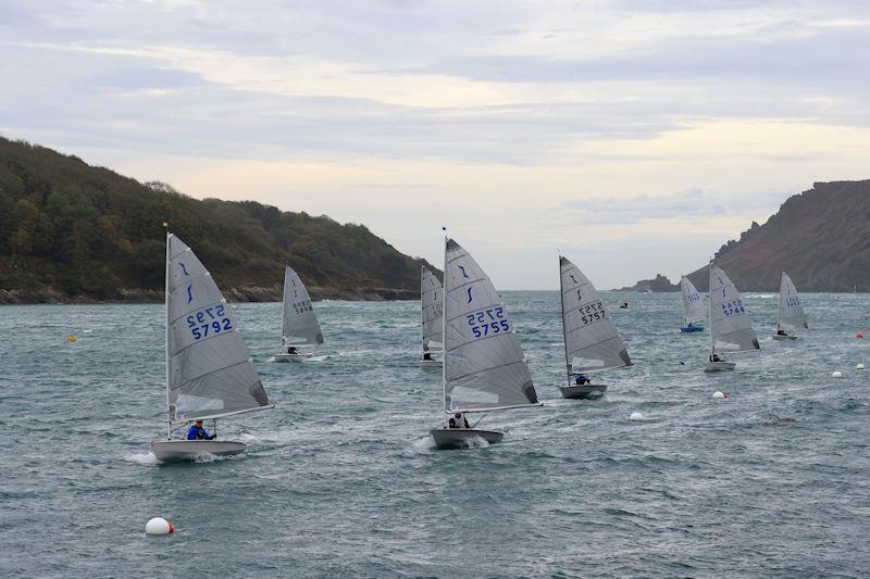 Salcombe Yacht Club Winter Series Race 1 photo copyright Lucy Burn taken at Salcombe Yacht Club and featuring the Solo class