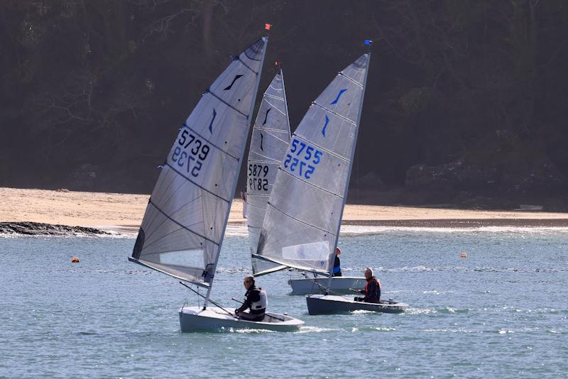 Salcombe Yacht Club Spring Series, Race 2 photo copyright Lucy Burn taken at Salcombe Yacht Club and featuring the Solo class