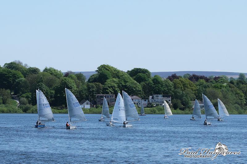 Solo class Northern Series at Burwain photo copyright Paul Hargreaves Photography taken at Burwain Sailing Club and featuring the Solo class