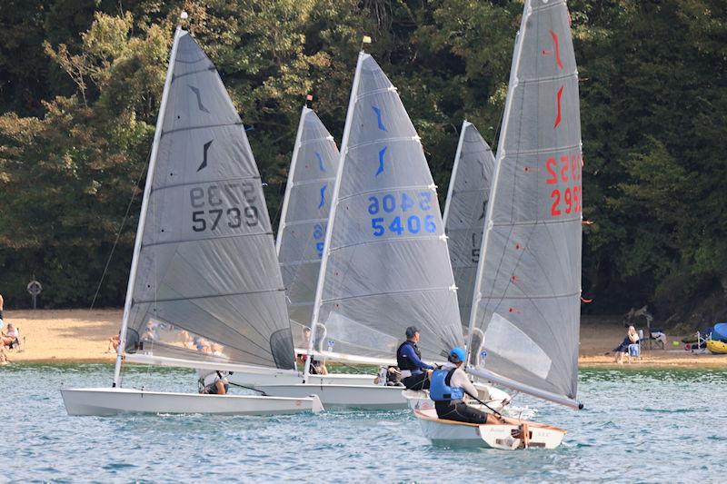 Salcombe Yacht Club Autumn Series Race 2 photo copyright Lucy Burn taken at Salcombe Yacht Club and featuring the Solo class