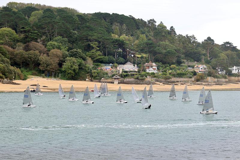 Salcombe Yacht Club Autumn Series Race 5 photo copyright Lucy Burn taken at Salcombe Yacht Club and featuring the Solo class