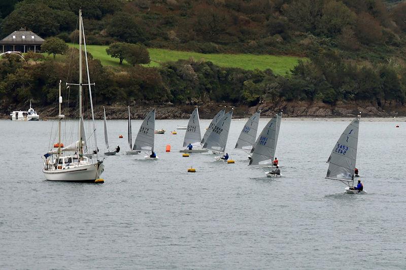 Salcombe Yacht Club Autumn Series Race 5 photo copyright Lucy Burn taken at Salcombe Yacht Club and featuring the Solo class