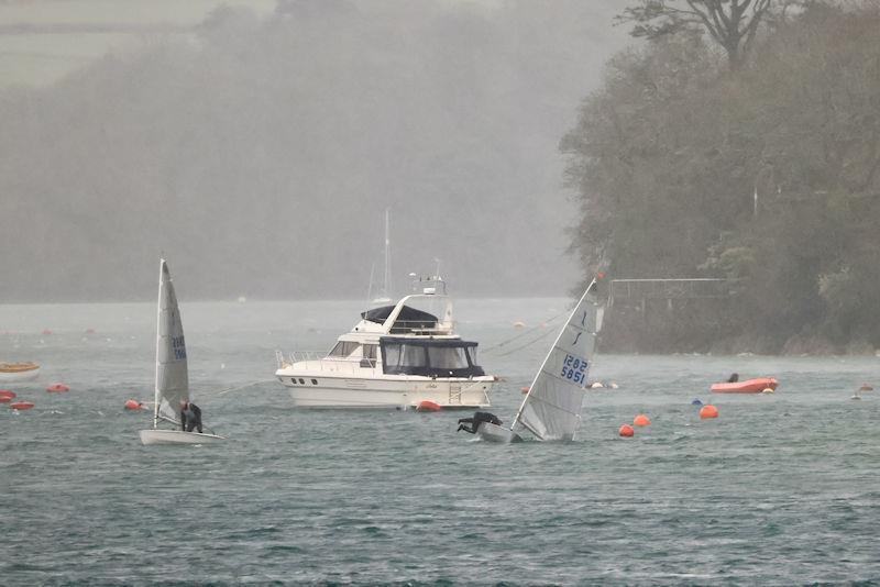 Salcombe Yacht Club Spring Series Race 3 photo copyright Lucy Burn taken at Salcombe Yacht Club and featuring the Solo class