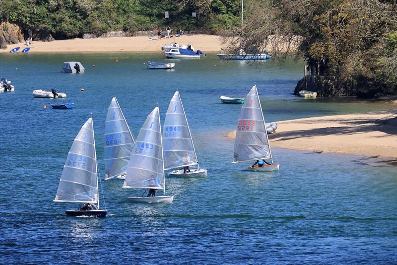 Salcombe Yacht Club Sailing Club Series Race 1 photo copyright Lucy Burn taken at Salcombe Yacht Club and featuring the Solo class