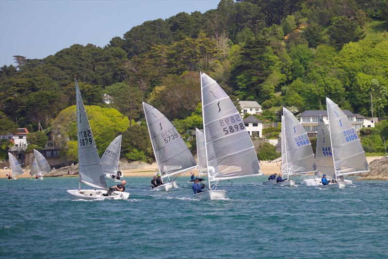 Salcombe Yacht Club Solo Open photo copyright Lucy Burn taken at Salcombe Yacht Club and featuring the Solo class