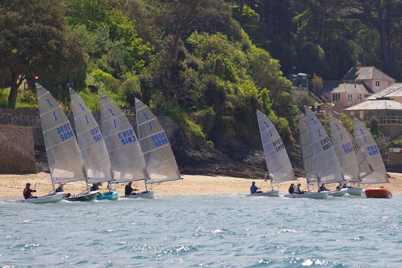 Salcombe Yacht Club Solo Open photo copyright Lucy Burn taken at Salcombe Yacht Club and featuring the Solo class