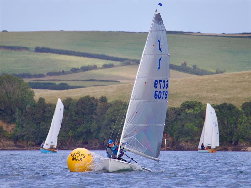 Salcombe Yacht Club Regatta 2025 photo copyright Lucy Burn taken at Salcombe Yacht Club and featuring the Solo class