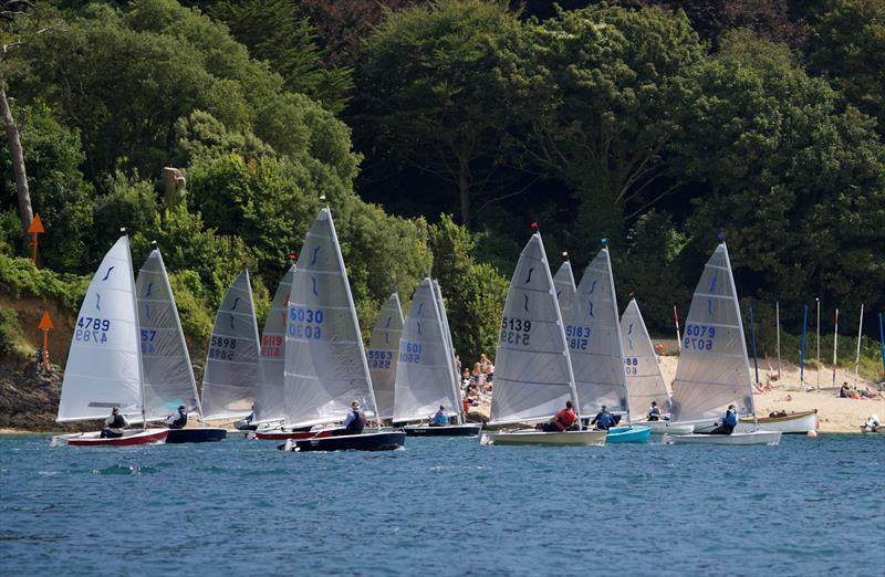 Salcombe Yacht Club Regatta 2025 photo copyright Lucy Burn taken at Salcombe Yacht Club and featuring the Solo class
