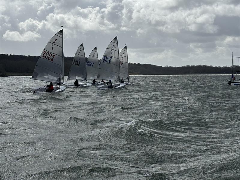 Carsington Solo Open photo copyright Phil Munton taken at Carsington Sailing Club and featuring the Solo class