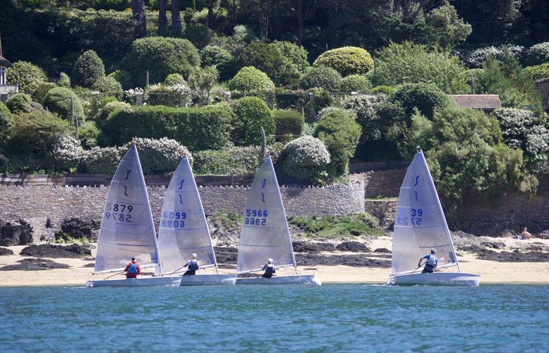 Salcombe Yacht Club Sailing Club Series Race 6 photo copyright Lucy Burn taken at Salcombe Yacht Club and featuring the Solo class