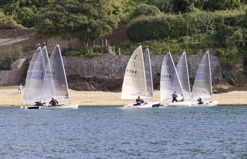Salcombe Yacht Club Autumn Series Race 4 photo copyright Lucy Burn taken at Salcombe Yacht Club and featuring the Solo class
