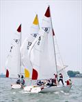 © Rick Bannerot / www.ontheflyphoto.net