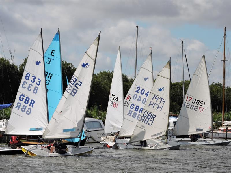 Horning Sailing Club Regatta Week photo copyright Holly Hancock taken at Horning Sailing Club and featuring the Splash class