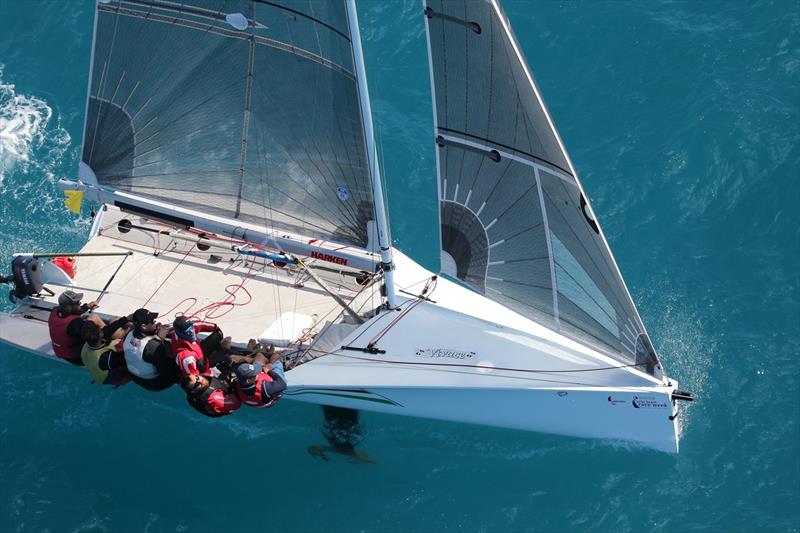 The 79er Vivace - Airlie Beach Race Week - photo © Shirley Wodson