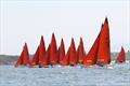 Squib Nationals at Holyhead 2017 © Peter Newton / www.peternewton.zenfolio.com