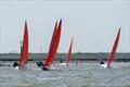 Squib Easter sailing at Royal Corinthian YC - on the River Crouch during the Cheeseboard  © Petru Balau Sports Photography / sports.hub47.com