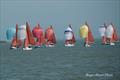 2026 Squib Gold Cup at Burnham-on-Crouch &copy; Roger Mant Photography
