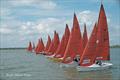 2026 Squib Gold Cup at Burnham-on-Crouch &copy; Roger Mant Photography