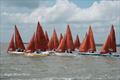 2026 Squib Gold Cup at Burnham-on-Crouch &copy; Roger Mant Photography