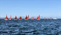 © SCYC Squib National Championship 2026 © SCYC