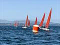 © SCYC Squib National Championship 2026 © SCYC