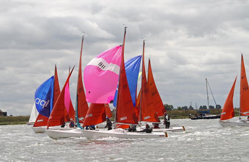 Closer than close in the popular Squib class at Burnham Week that celebrates its 50th anniversary this year - photo © Roger Mant