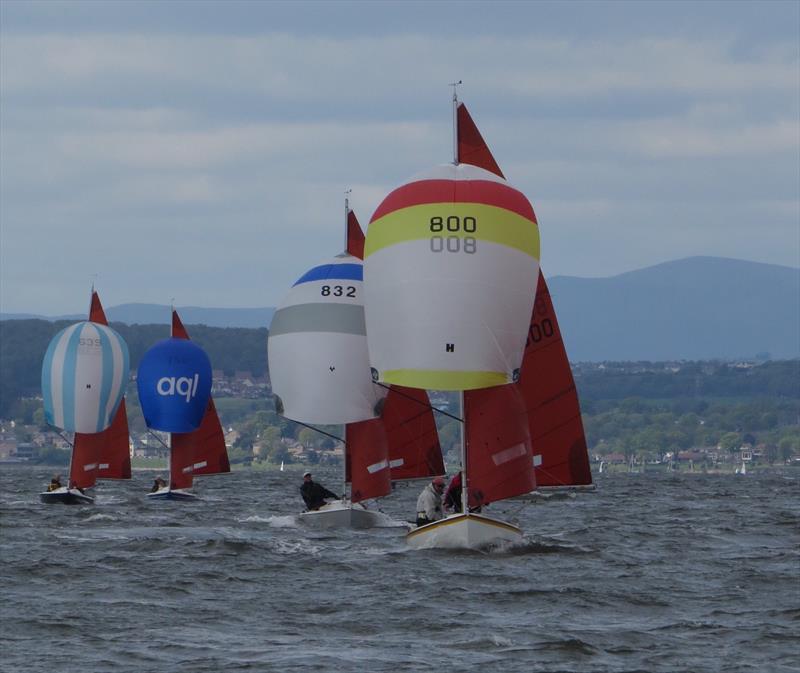 Squib Scottish and Northern Championships photo copyright Sheena Kerr taken at Royal Forth Yacht Club and featuring the Squib class