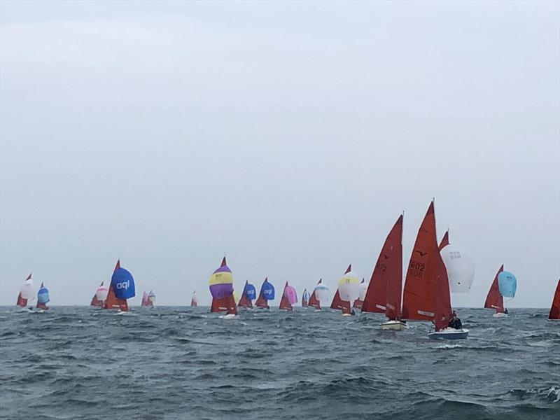 Squib Nationals at Torbay day 1 photo copyright Keith Davies taken at Royal Torbay Yacht Club and featuring the Squib class