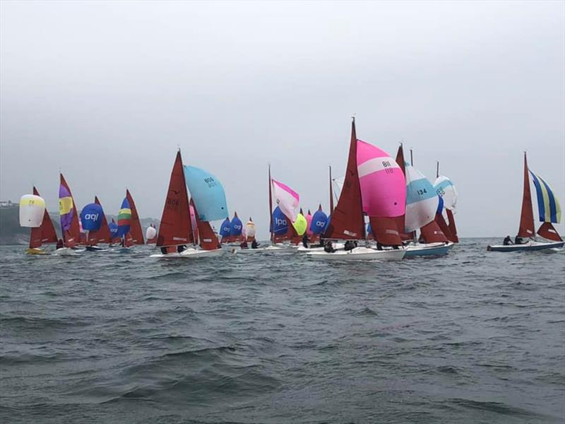 Squib Nationals at Torbay day 4 photo copyright RTYC taken at Royal Torbay Yacht Club and featuring the Squib class