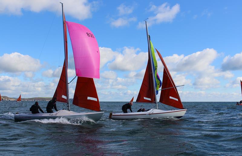 2016 Irish Squib Nationals at Kinsale photo copyright Fiona Ward taken at Kinsale Yacht Club and featuring the Squib class