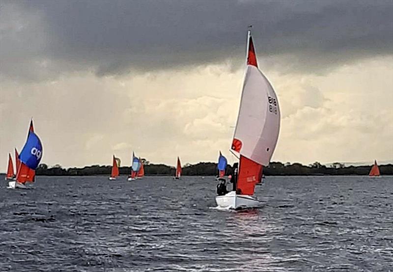 Irish Squib Inlands at Lough Derg photo copyright Fiona Ward taken at Lough Derg Yacht Club and featuring the Squib class