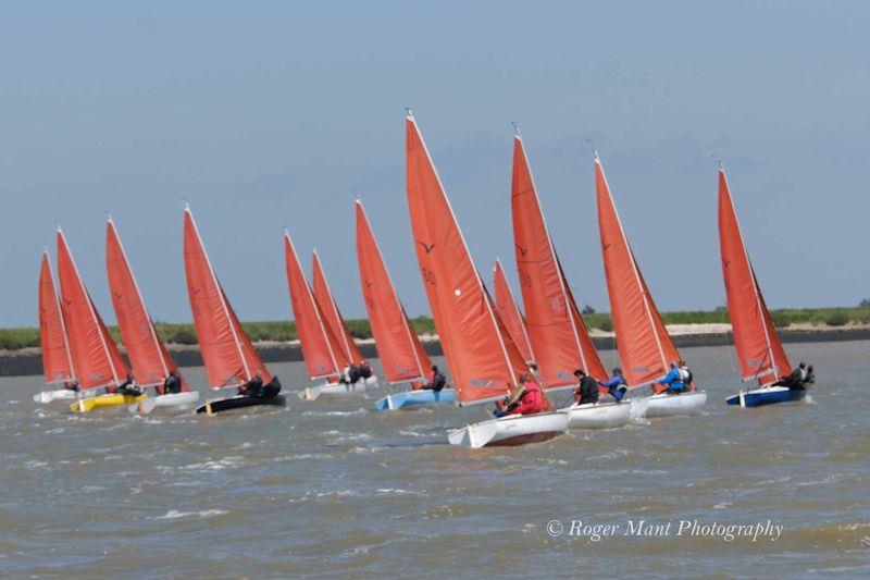 Squibs celebrate arrival of summer at the Gold Cup photo copyright Roger Mant Photography taken at Royal Corinthian Yacht Club, Burnham and featuring the Squib class