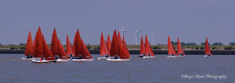 Squib East Coast Championship 2022 photo copyright Roger Mant Photography taken at Royal Corinthian Yacht Club, Burnham and featuring the Squib class