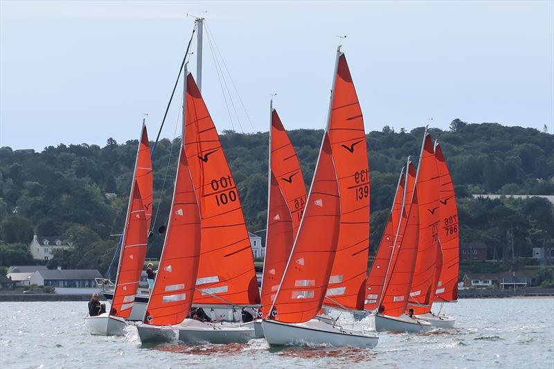 Squib start during the Brewin Dolphin RS Elite Irish Championships & Squib McMillan Shield photo copyright Lindsay Nolan taken at Royal North of Ireland Yacht Club and featuring the Squib class