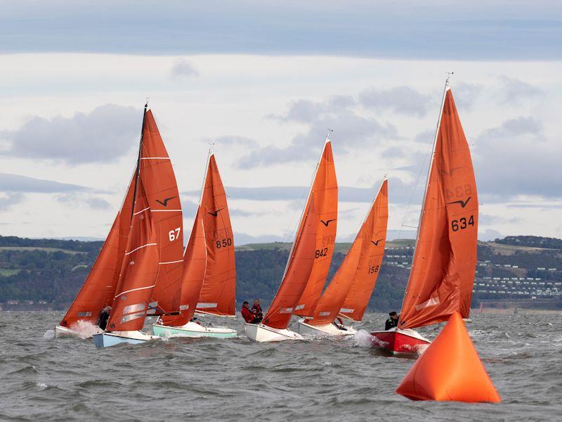 Queen Elizabeth Regatta at Royal Forth YC photo copyright Hannah Robertson taken at Royal Forth Yacht Club and featuring the Squib class