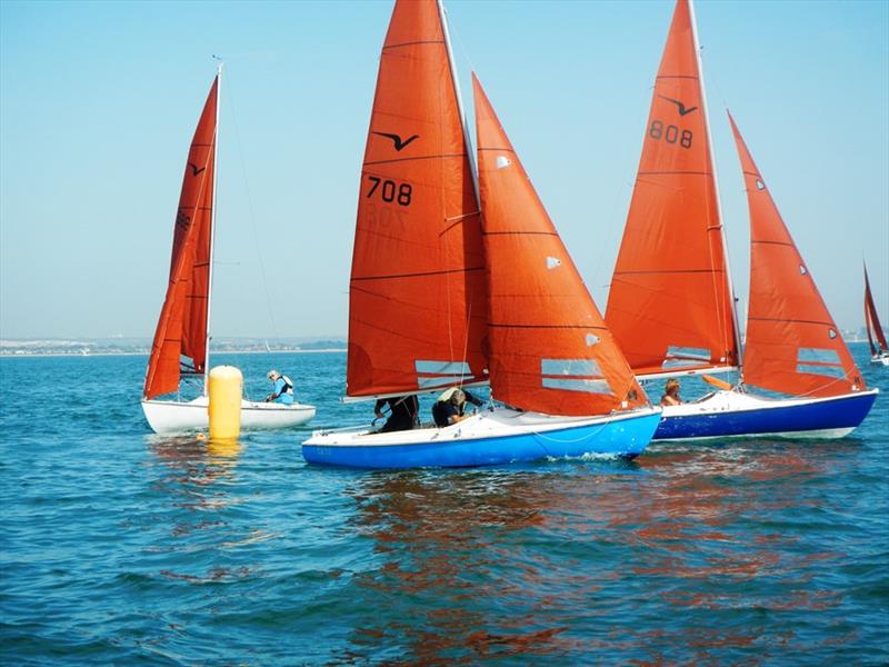 Squib South Coast Championships 2023 photo copyright Mike Samuelson taken at Royal Victoria Yacht Club, England and featuring the Squib class