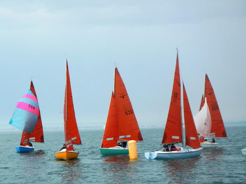 Squib South Coast Championships 2023 photo copyright Mike Samuelson taken at Royal Victoria Yacht Club, England and featuring the Squib class