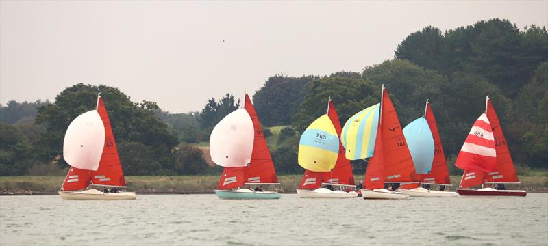 Waldringfield Cartoon Trophy 2023 photo copyright Alexis Smith taken at Waldringfield Sailing Club and featuring the Squib class