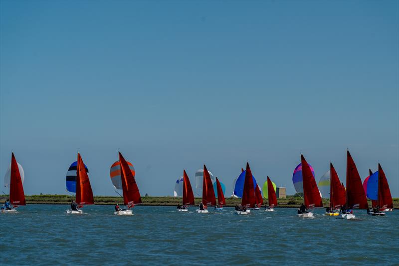 Squibs sail on the river Crouch during Squib Gold Cup 2025 at Royal Corinthian Yacht Club photo copyright Petru Balau Sports Photography / sports.hub47.com taken at Royal Corinthian Yacht Club and featuring the Squib class