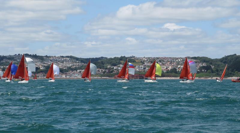 Squib Nationals 2025 at Torbay Day 1 photo copyright Nicola Davies taken at Royal Torbay Yacht Club and featuring the Squib class